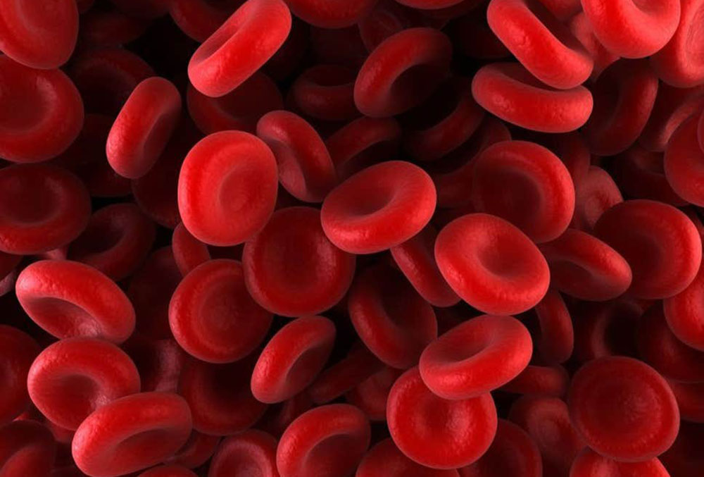 blood-clip.png25