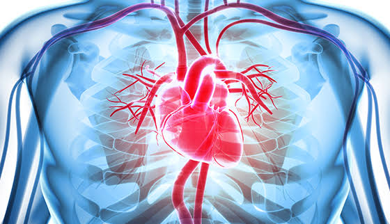 heart-clip.png25